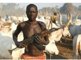 Fulani Herdsmen: The Niger State's scenario and the Army