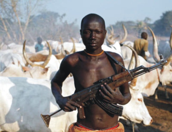 Fulani herdsmen: Terrorists or land grabbers? | giantability |