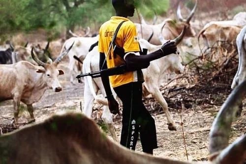Villagers in Osun engaged herders in gun duel, three wounded