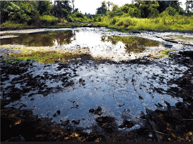Image result for Oil spills in bayelsa