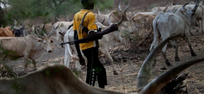 Terror herdsmen slaughter
