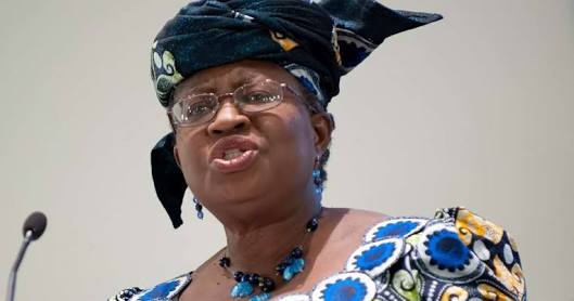 WTO to assist Nigerian women entrepreneurs —DG