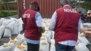 NDLEA seizes illicit drugs worth N60b