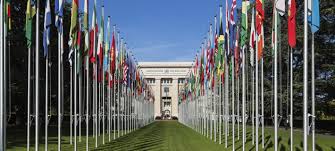 Place education at the centre of peace building in Nigeria – UN
