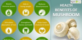 11 Interesting Mushroom Benefits