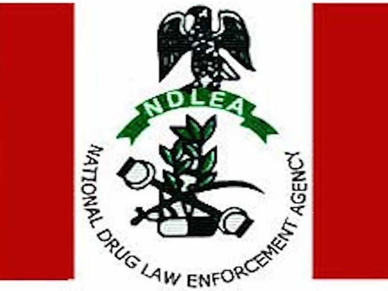 NDLEA website crashes hours after recruitment portal opened