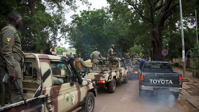 11 Malian soldiers killed in ambush - Army