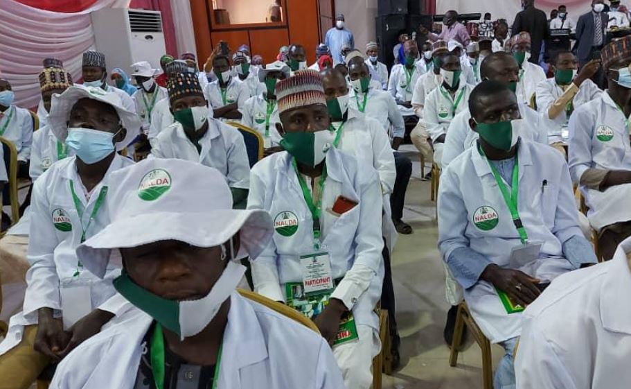 NALDA trains 269 soil doctors, extension workers in Borno