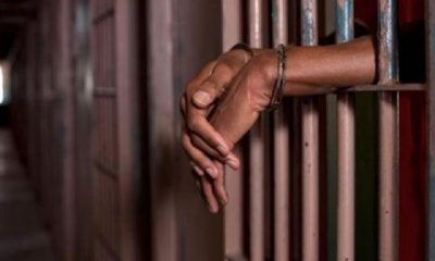 Court jails 25-year-old trader for stealing sheep