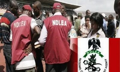 NDLEA nabs Abia drug dealer, seizes 1.217 kilos of drugs
