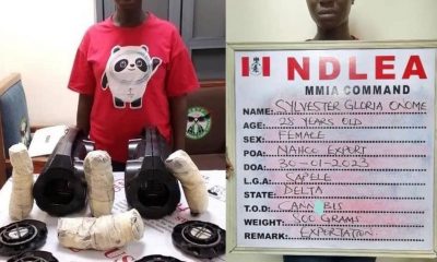 pregnant-woman-arrested-after-skunk-was-found-in-radio-sets-she-was-sending-to-her-sister-in-dubai