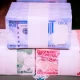 Naira Floatation and Its Growing Corporate Casualties