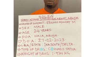 24 yrs old man arrested for attempting to export cannabis in cream tubes 