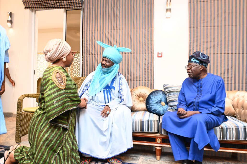 Dabiri-Erewa visits Tinubu in Abuja
