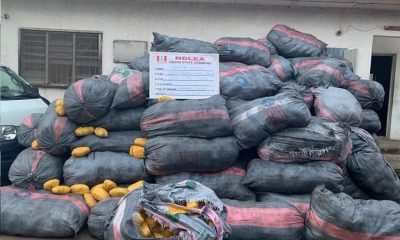 NDLEA seizes 8,852kg illicit drugs consignment amidst heavy shooting in Lagos