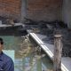 Cambodian farmer ripped apart and killed by 40 of his crocodiles