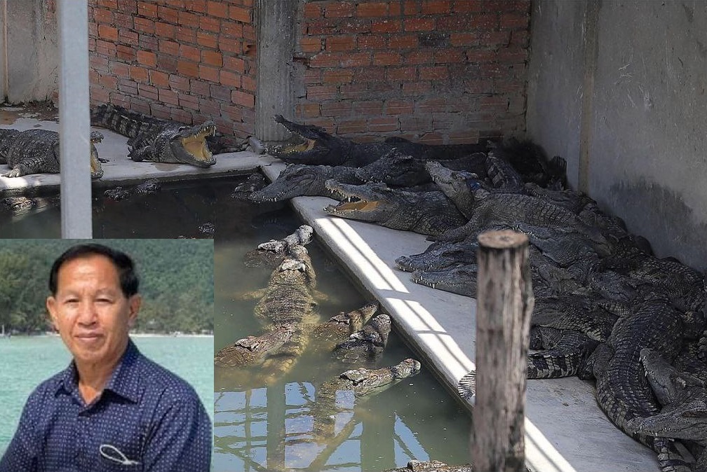 Cambodian farmer ripped apart and killed by 40 of his crocodiles
