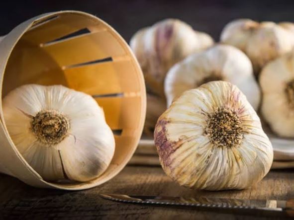 Common errors people make regarding garlic and how it affects the body