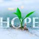 How to find hope in a hopeless situation
