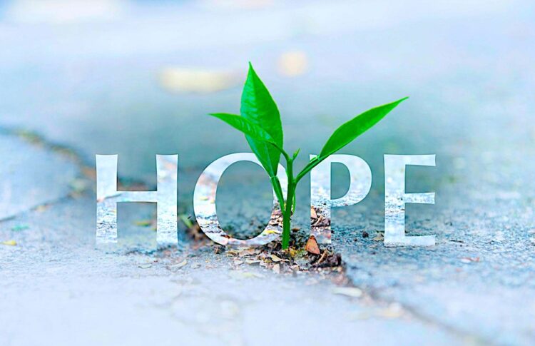 How to find hope in a hopeless situation
