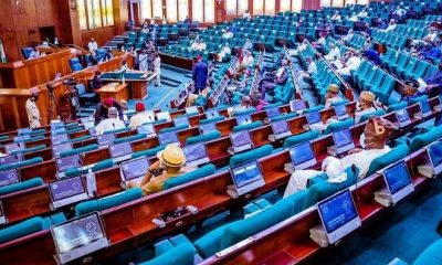 Reps approve Tinubu’s N500bn request for palliatives