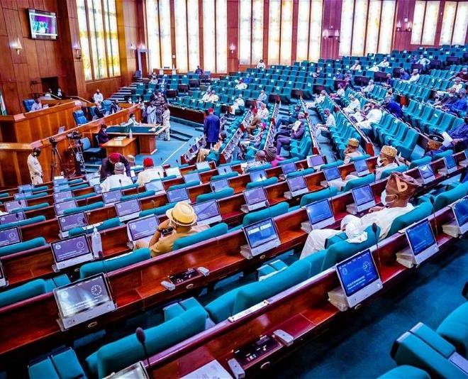 Reps approve Tinubu’s N500bn request for palliatives