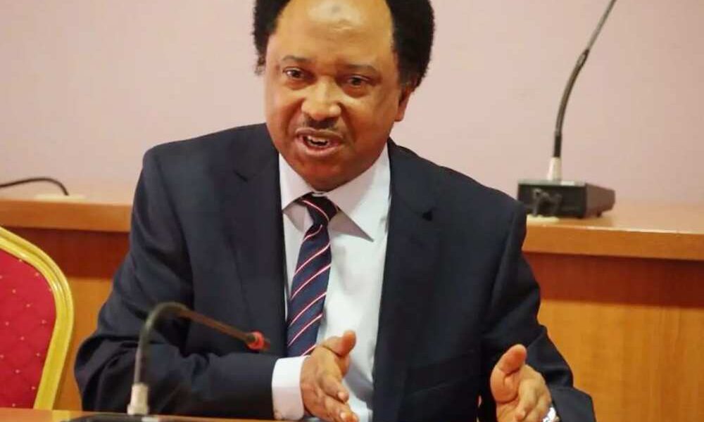 Shehu Sani seeks NASS investigation of $2bn used to reinforce Naira, N3.8trn FG laon from CBN for Ways & Means