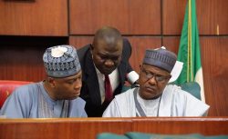 How NASS passed N99.344trn budget in eight years of Buhari administration