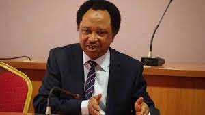 Shehu Sani calls for single currency in West Africa