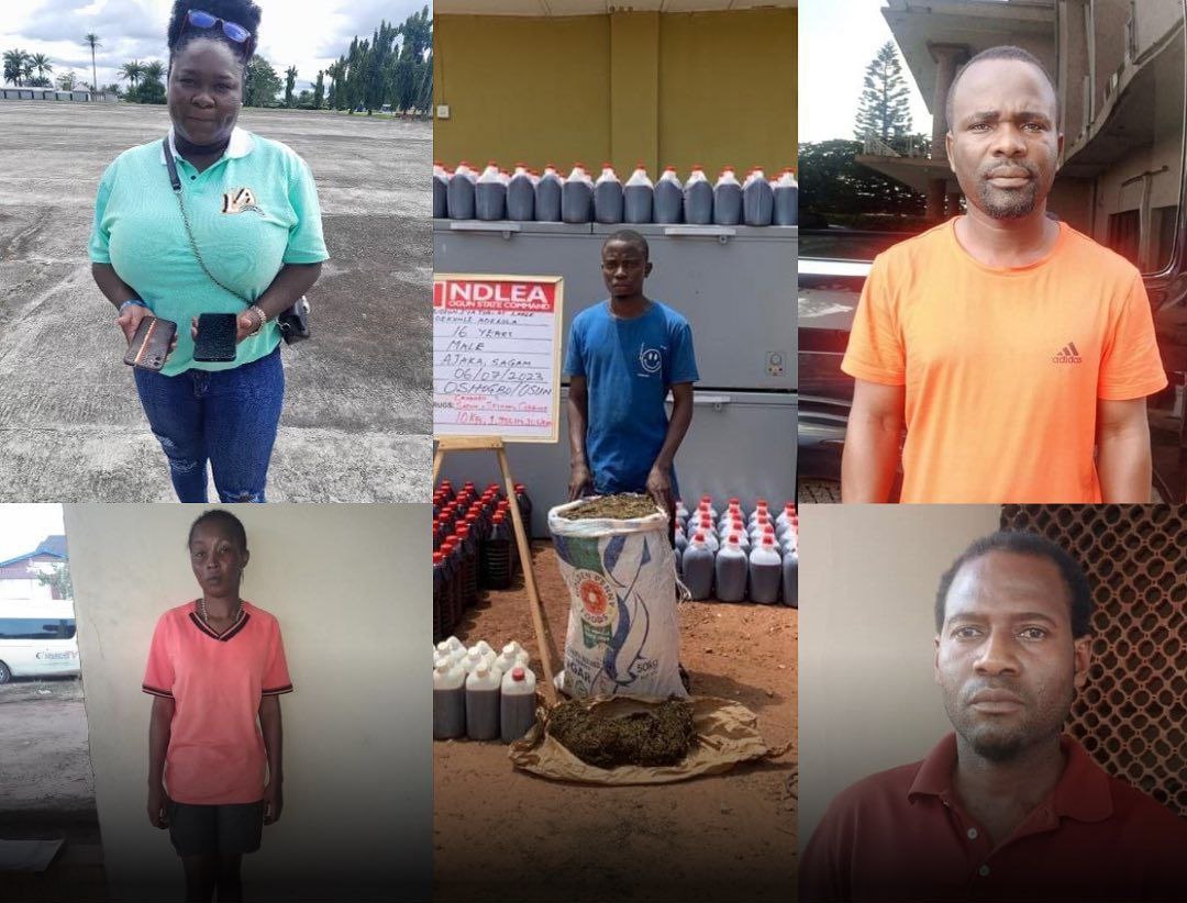 NDLEA bursts skucchies factory