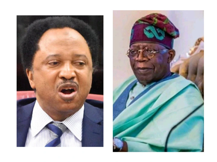 Tinubu once organized protests, but now he's on the other side of the battle - Shehu Sani