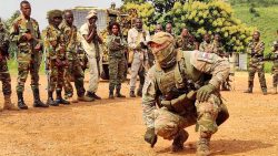 Fani-Kayode raises alarm over B'Faso, Mali military readiness in Niger