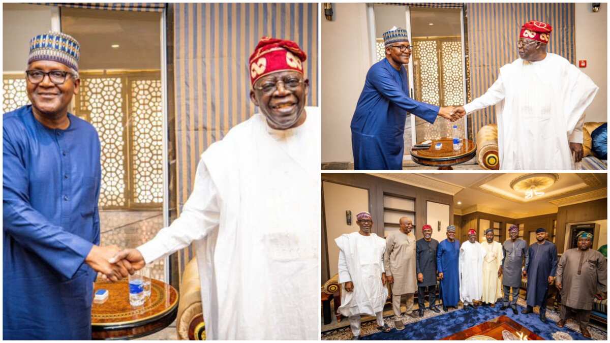 Tinubu leads Dangote, Onyema, 36 others to business conference in India 