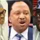 Reactions after Sani compared a speech made by Buhari and that of Tinubu