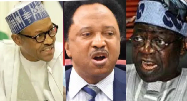 Reactions after Sani compared a speech made by Buhari and that of Tinubu