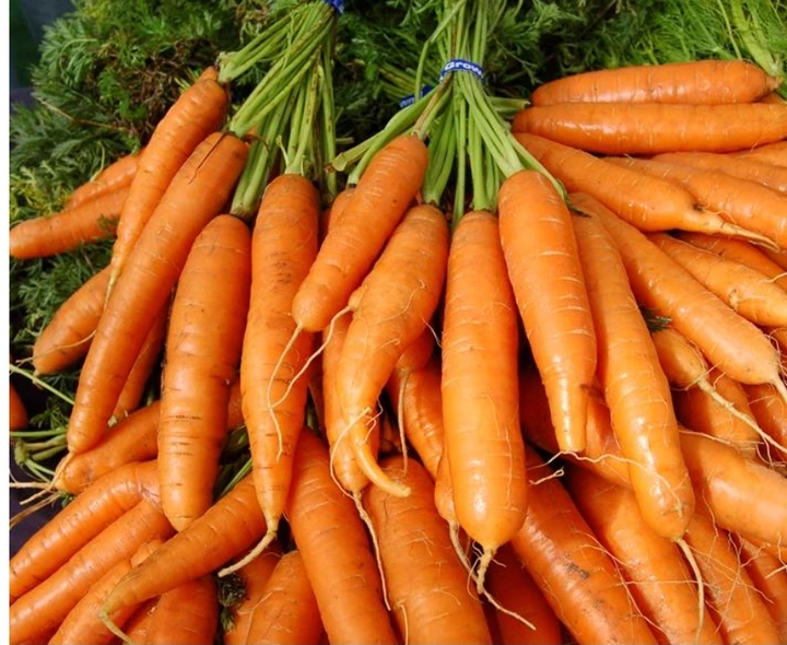 See the health benefits of carrots