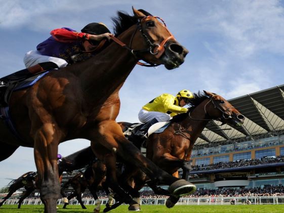 Horse racing is a thoroughbred tradition in Nigeria