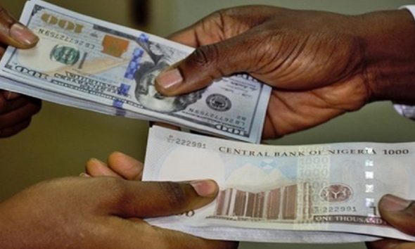 FX rates gap widens in official, black markets, hits N219