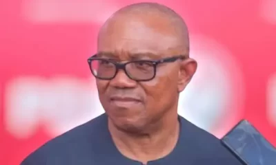 Tribunal rejects Peter Obi’s claims of election rigging, strikes out testimonies of 10 out 13 witnesses