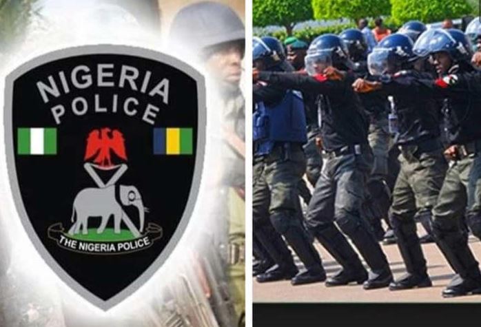 Police foil kidnap attempt, rescue victims in Jigawa