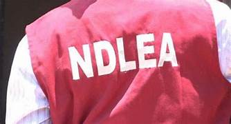 NDLEA