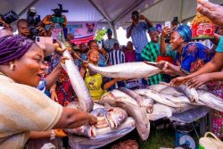 Sanwo-Olu celebrates World Food Day 