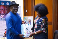 Oborevwori, receives WHO delegation, pledges functional healthcare for Deltans