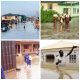 Hidden victims of Lagos, Ogun communities floods