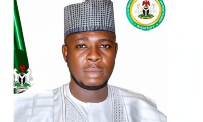 Newly appointed Borno Commissioner dies mysteriously