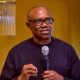 Palliatives result of limited thinking – Peter Obi
