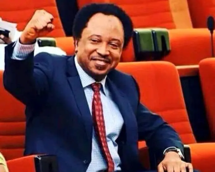 Shehu Sani commends BUA for N3,500 reduction of cement price