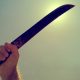 Man attacks mother with machete, cut off her hands