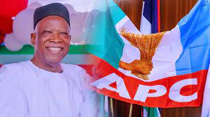 PDP is deluded, in for another round of spectacular defeat - APC