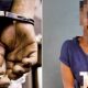 Granny, 3 others nabbed for selling 3-month old baby for N50,000